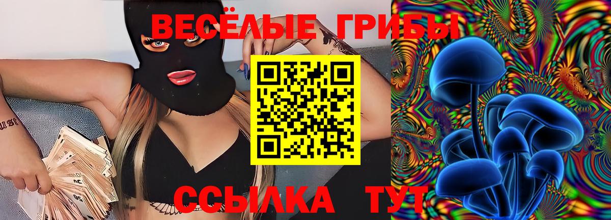 Зеленогорск  Галлюциногенные грибы Psilocybe  Вход с VPN 