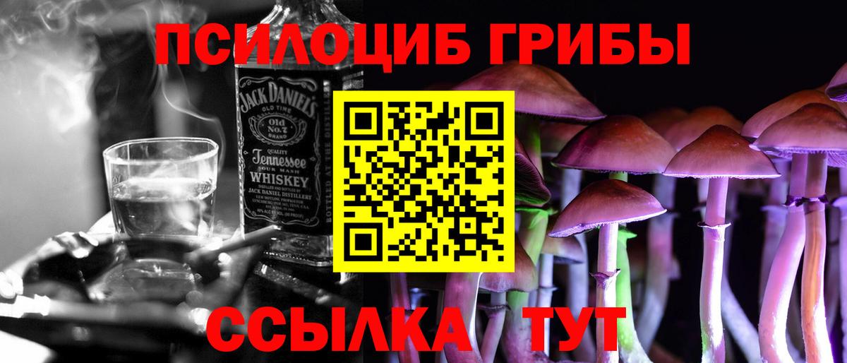 Псилоцибиновые грибы мухоморы Зеленогорск