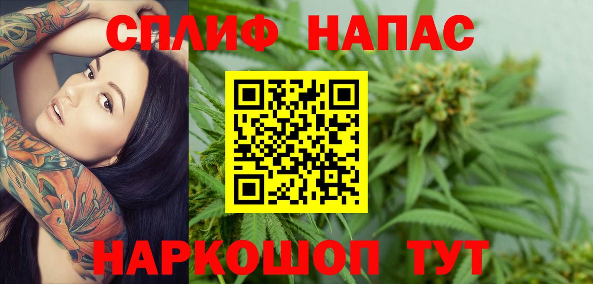 Конопля Bruce Banner  Вход с VPN  Каннабис гибрид  Бошки Шишки марихуана  Зеленогорск  Канабис тримм 